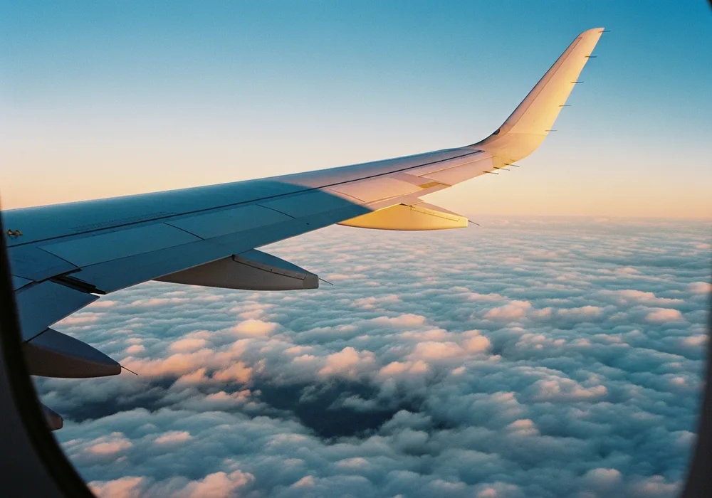 Flight bookings